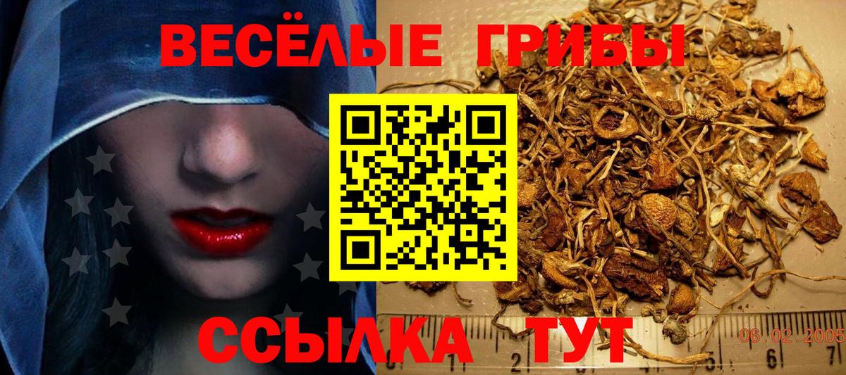 Галлюциногенные грибы Cubensis  Вход с VPN  Назарово  Псилоцибиновые грибы ЛСД 